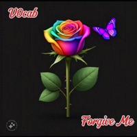 Forgive Me - Single - V0cab