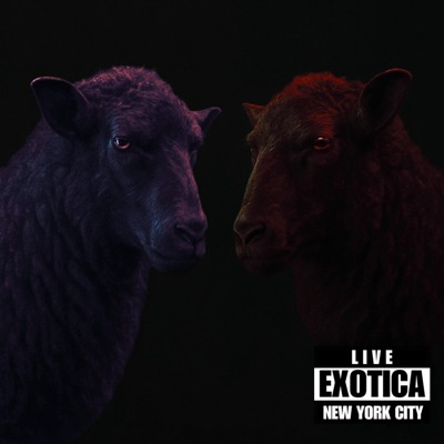 Exótica (Live In NYC) - Single