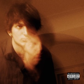 провина wwavy