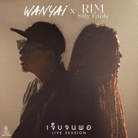 เจ็บจนพอ (Enough) [feat. ริม Silly Fools] [Live Session] - Single - WANYAi