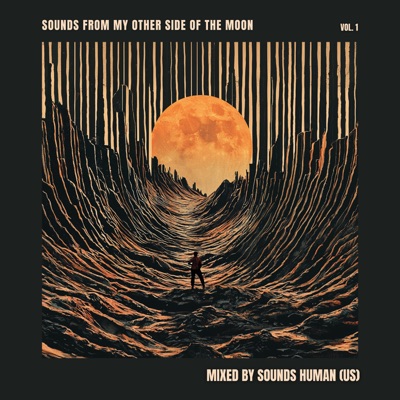 Sounds From My Other Side of the Moon (DJ Mix)