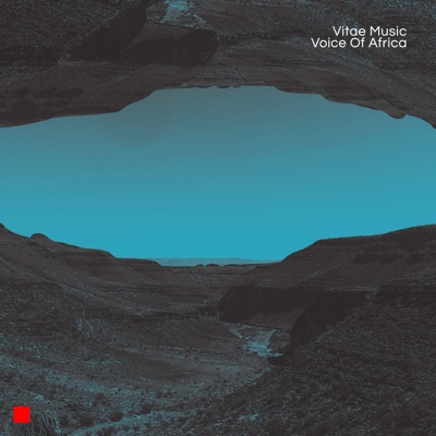 Voice Of Africa - Single