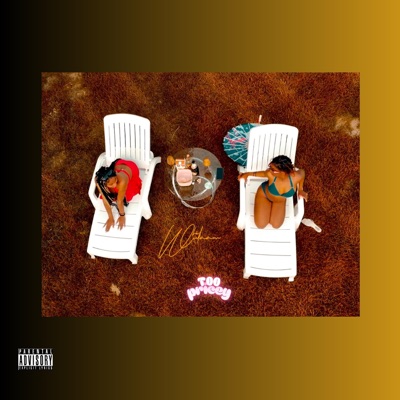 Too Pricey - Single