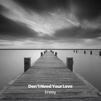Don't Need Your Love - Single - Enrey