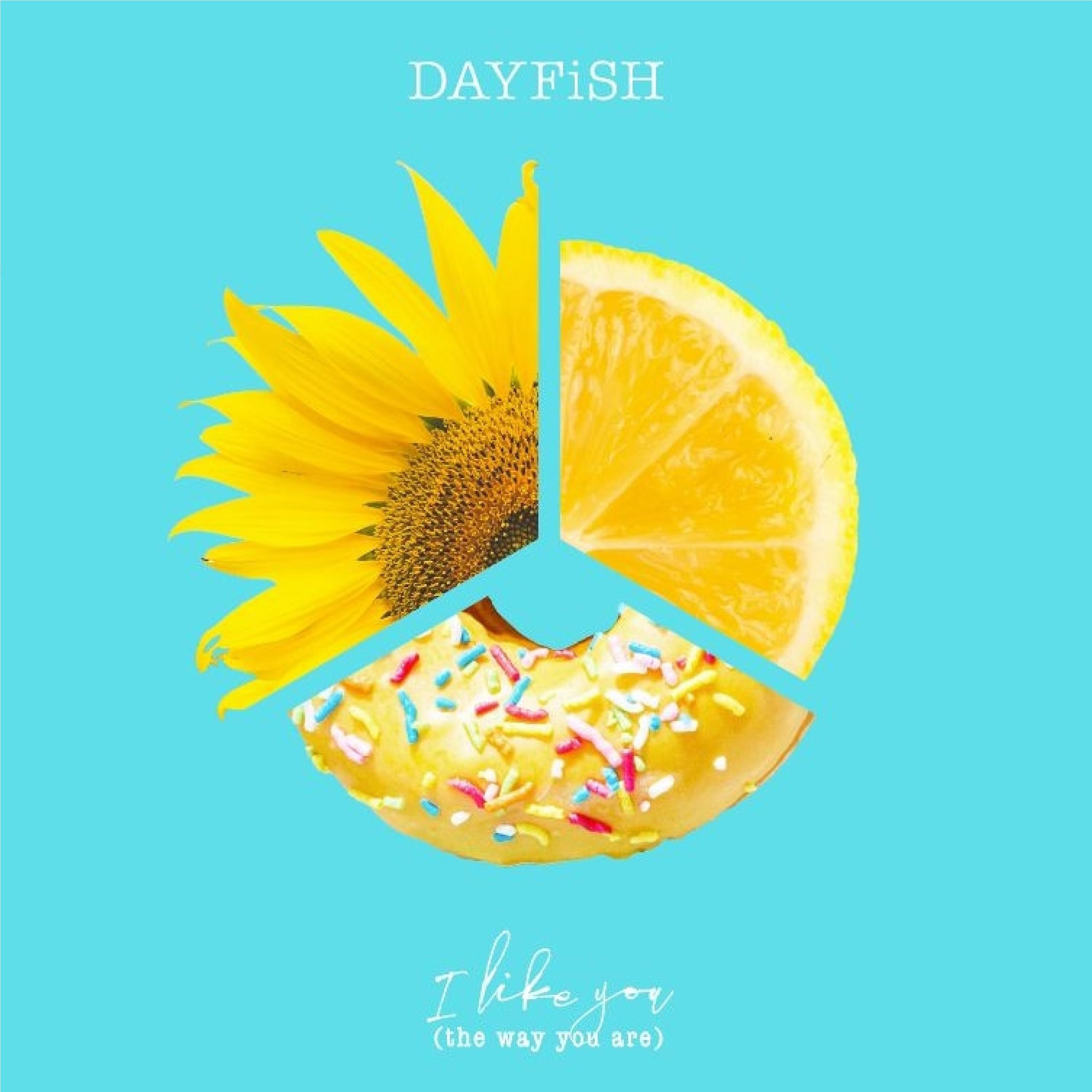 I Like You the Way You Are - Single