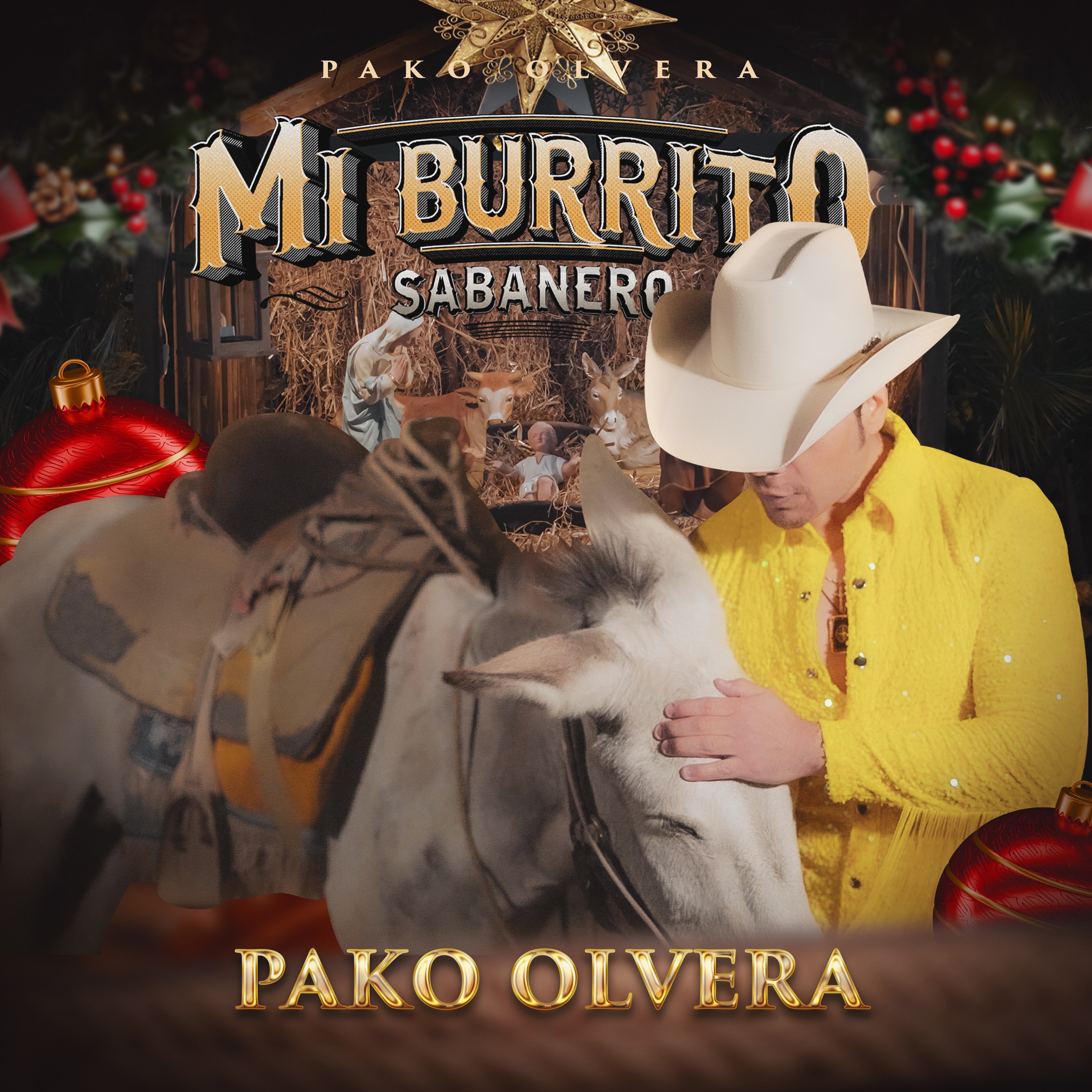 Mi Burrito Sabanero - Single