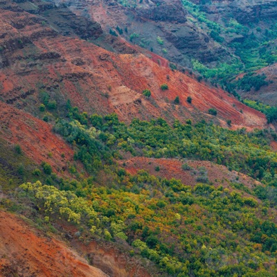 TMO slow it down - Single