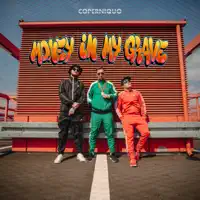 Money in My Grave — Coperniquo