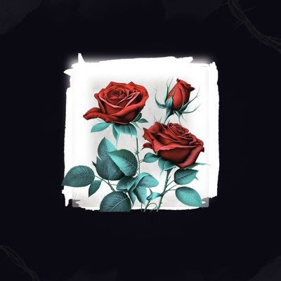 Como Lidar Com O Amor ?