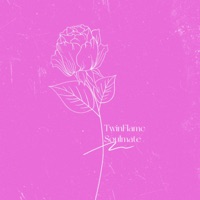 Twinflame Soulmate - Single - Moonlight Scorpio