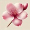 Carnation - Luminary Lofi & Jazz Cafe lyrics
