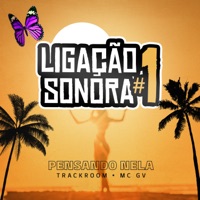 Ligação Sonora #1: Pensando Nela - Single - Track Room & MC GV