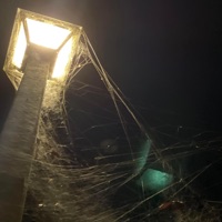 All They Want - Single - melon