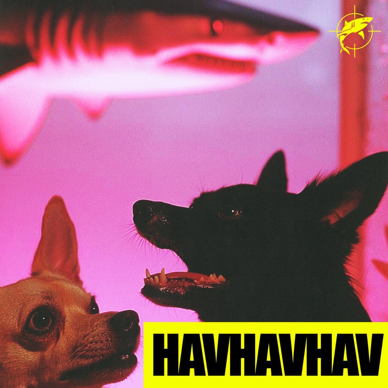 HAVHAVHAV by Lvbel C5 album cover