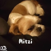 Mitzi (So Lost) - Single - One Calm Boy