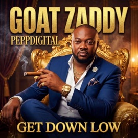 Get Down Low (feat. Tezay & Ms. Zillionaire) PeppDigital