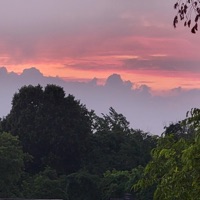 Held High - Single - nxghtcxp