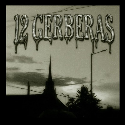 12 gerberas - EP