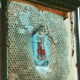 Bless the HIVE DJ Mastamind
