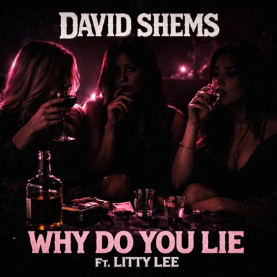 Why Do You Lie (feat. Litty Lee) - Single
