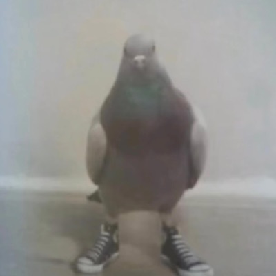 ynteee - TURN IT UP (feat. glokomir)