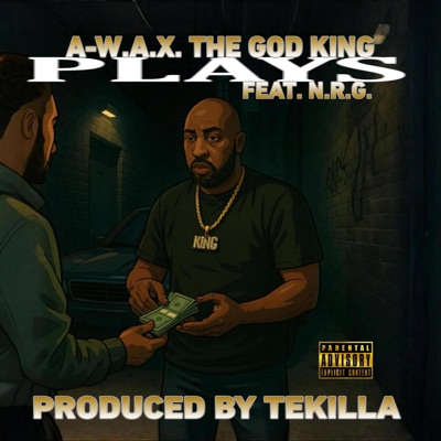 Plays (feat. N.R.G.) - Single