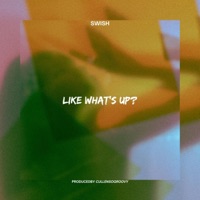 Like What's Up ? - Single - $wish