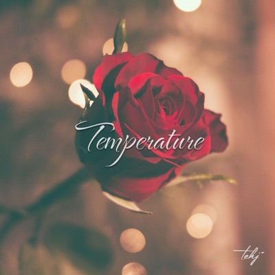 Temperature - Single