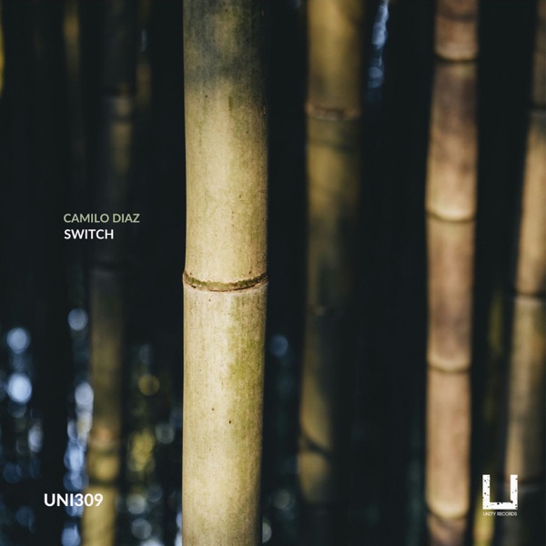 Switch - Single