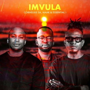 iMvula - Single