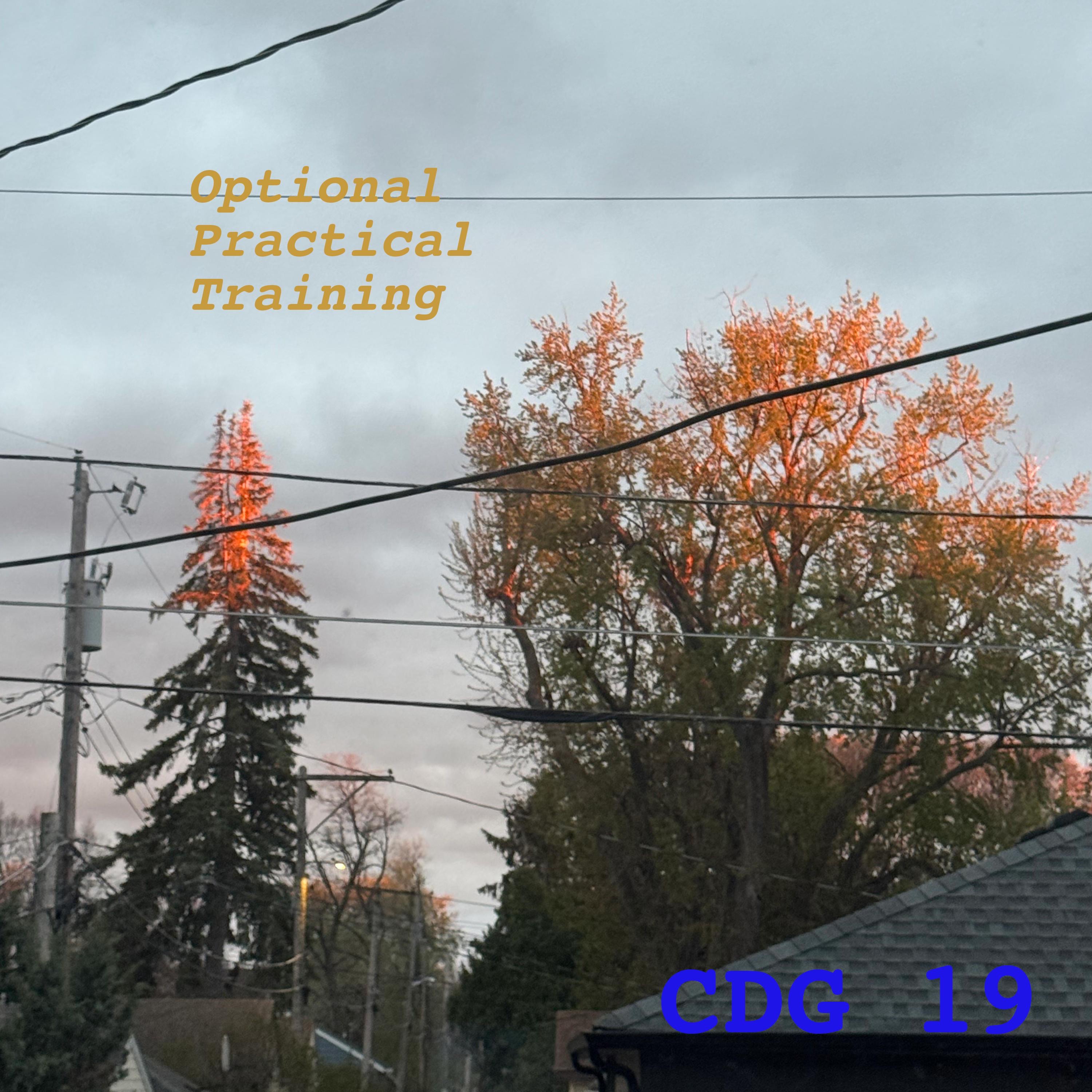 Optional Practical Training - EP