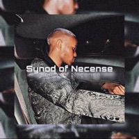 Synod Of Necense - HEVDMVXTER