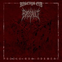 Puzzle Box Torment - Single - Bassault US & Miserys End