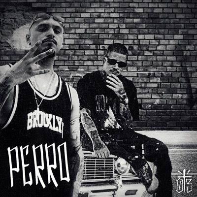 Perro - Single