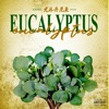 Eucalyptus - Single