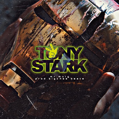 Tony Stark (feat. BigChes Beats) - Single