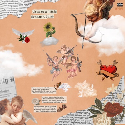 Anti-Cupid