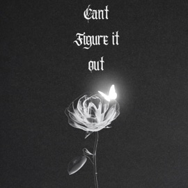 Cant Figure It Out (feat. Verbalize) Matt Gresham