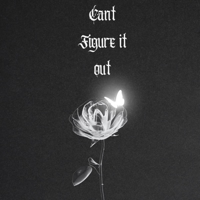 Cant Figure It Out (feat. Verbalize) - Single