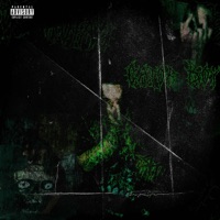 GATOR BOY - Single - Sneauxmane