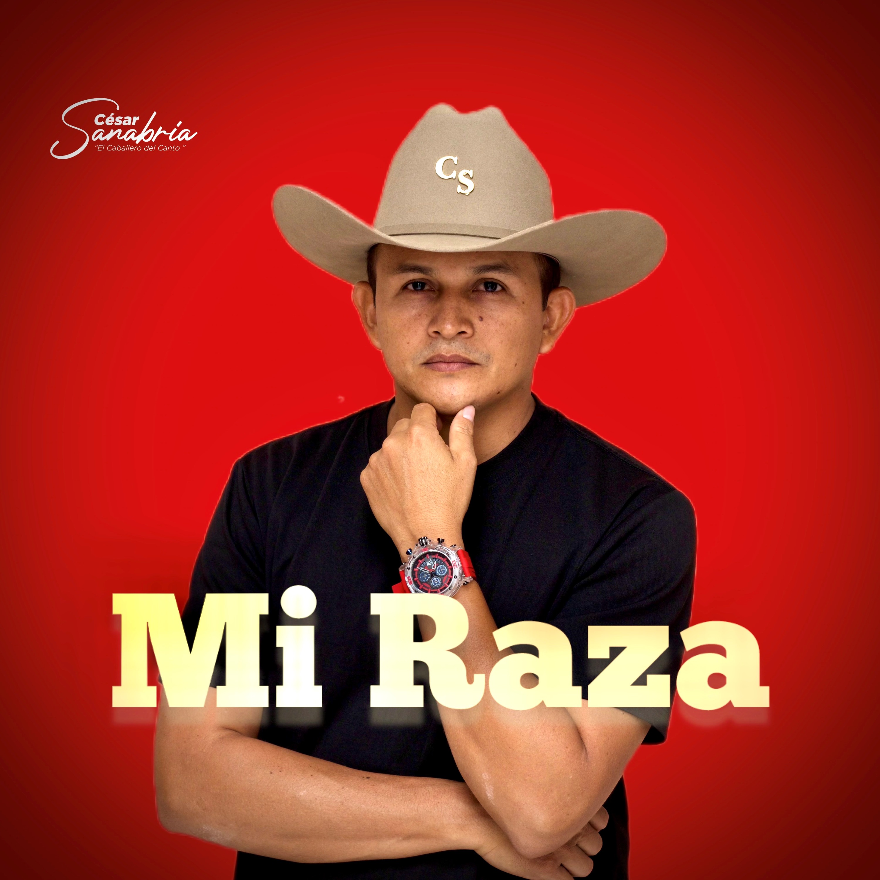 Mi Raza - Single