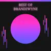 Brandiwyne - Lovely Day (feat. Designer Disguise)