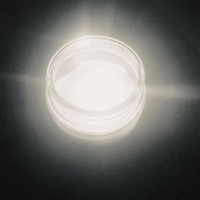 Don't Despair - Single - BLACK KARMA