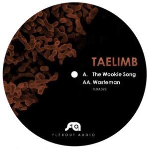 The Wookie Song / Wasteman - Single