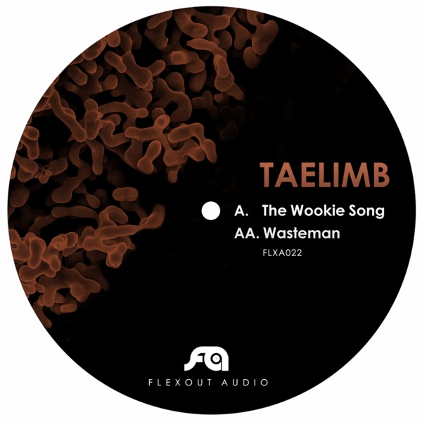 The Wookie Song / Wasteman - Single