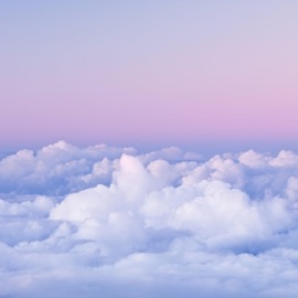 Not that type Ydk_Court