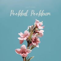Pookkal Pookkum (Instrumental - Violin) - Single - Nikhil Neelakandan & Antony Jos