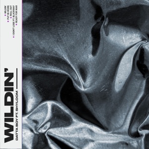 Wildin' (feat. Shyloom)