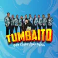 Tumbaito