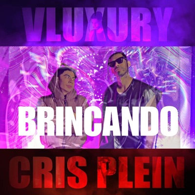 BRINCANDO (feat. Cris Plein) - Single
